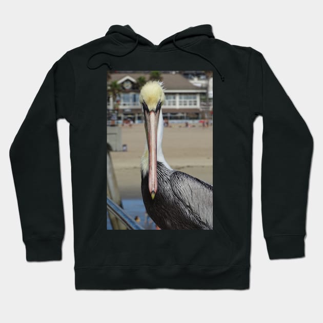 Pelican Eye to Eye Hoodie by AH64D